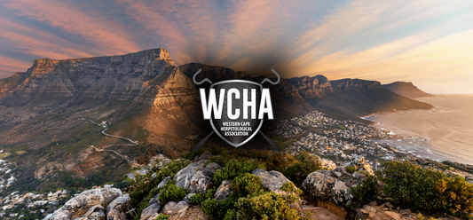 In the Spotlight: The Western Cape Herpetological Association